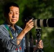 美式足球ncaa比分-NCAA美式足球激战正酣，比分背后的热血与传奇