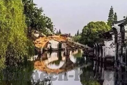 足球皍时比分-足球皍时比分，瞬息万变的绿茵战场心跳图